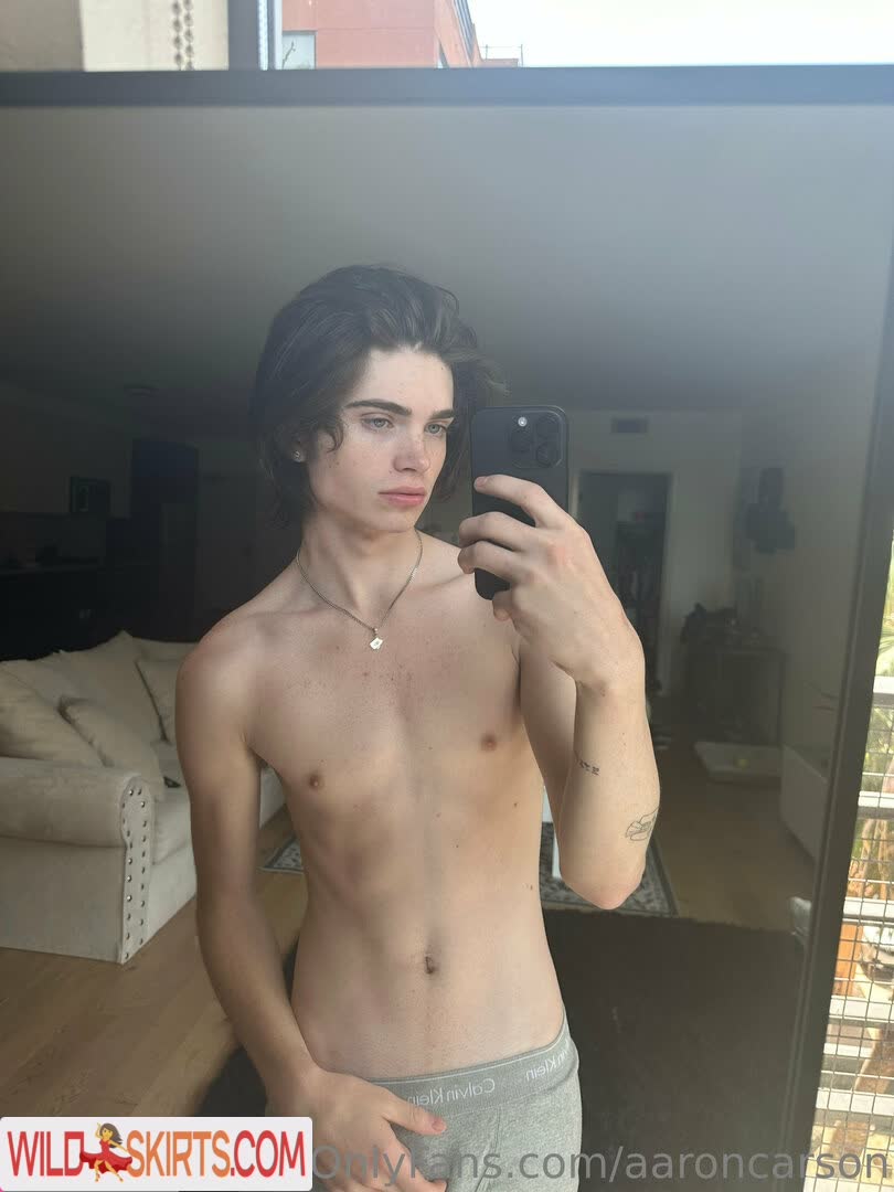 aaronponce / aaronponce / aaronwilliamcameron nude OnlyFans, Instagram leaked photo #20