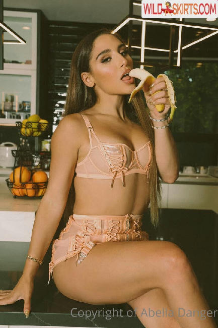 Abella Danger / abelladanger / dangersheabella / dangershewrote nude OnlyFans, Instagram leaked photo #118