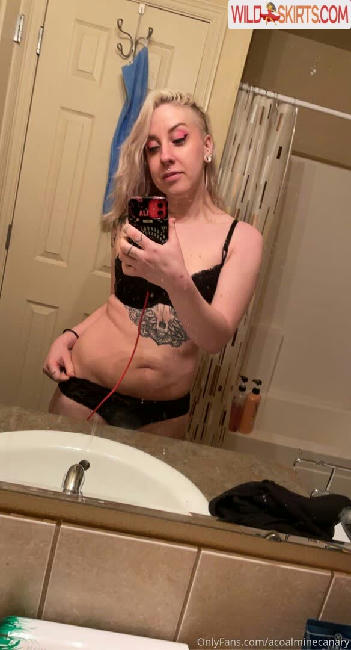 acoalminecanary / acoalminecanary / ccarolynnn nude OnlyFans, Instagram leaked photo #7