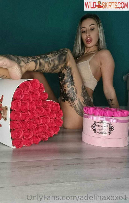 adelinaxoxo1 / adelina_ix / adelinaxoxo1 nude OnlyFans, Instagram leaked photo #2