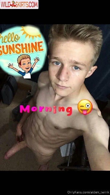 aiden_twink / aiden_twink / platinumtwink nude OnlyFans, Instagram leaked photo #9