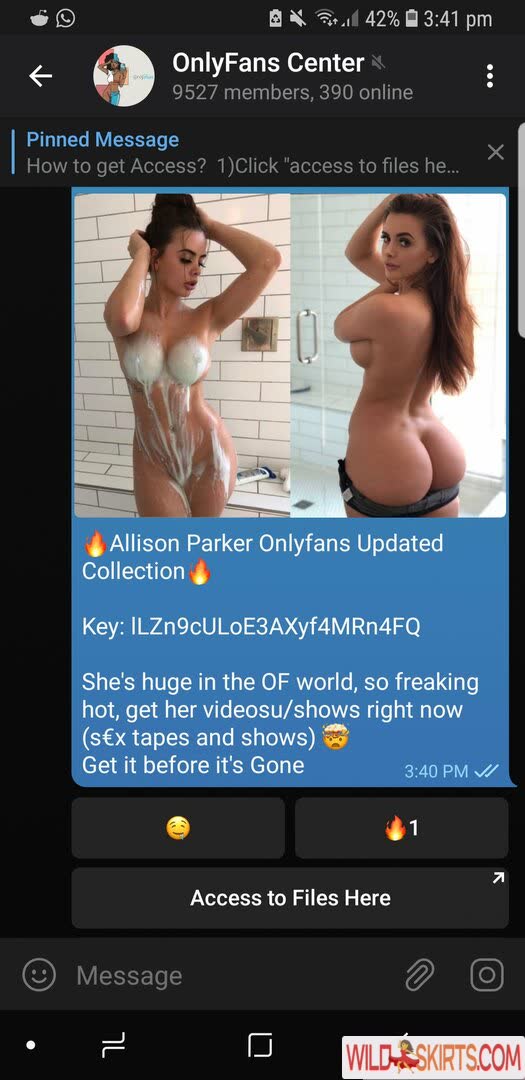 Allison Parker / alison.parker56 / allipark22 nude OnlyFans, Instagram leaked photo #2