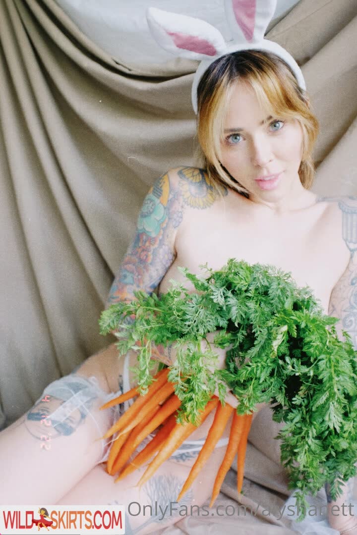 Alysha Nett nude leaked photo #1172