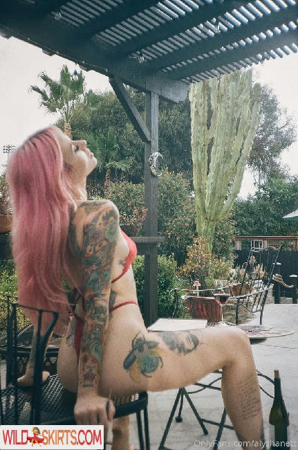 Alysha Nett / alyshanett nude OnlyFans, Instagram leaked photo #410