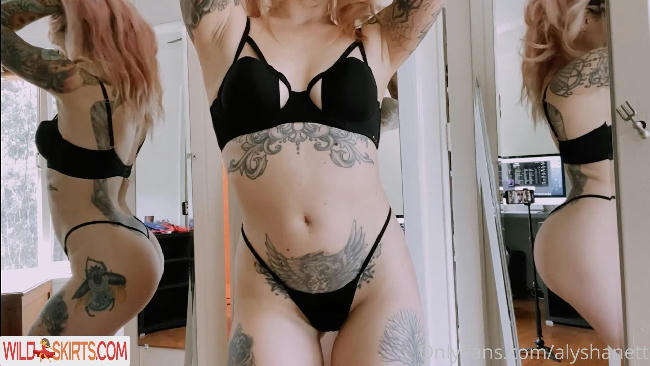 Alysha Nett / alyshanett nude OnlyFans, Instagram leaked photo #577