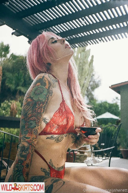 Alysha Nett / alyshanett nude OnlyFans, Instagram leaked photo #860