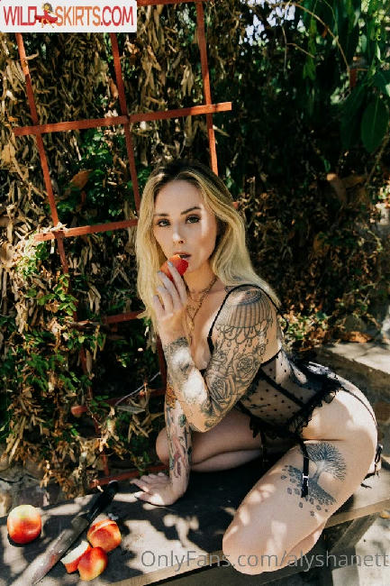 Alysha Nett / alyshanett nude OnlyFans, Instagram leaked photo #951