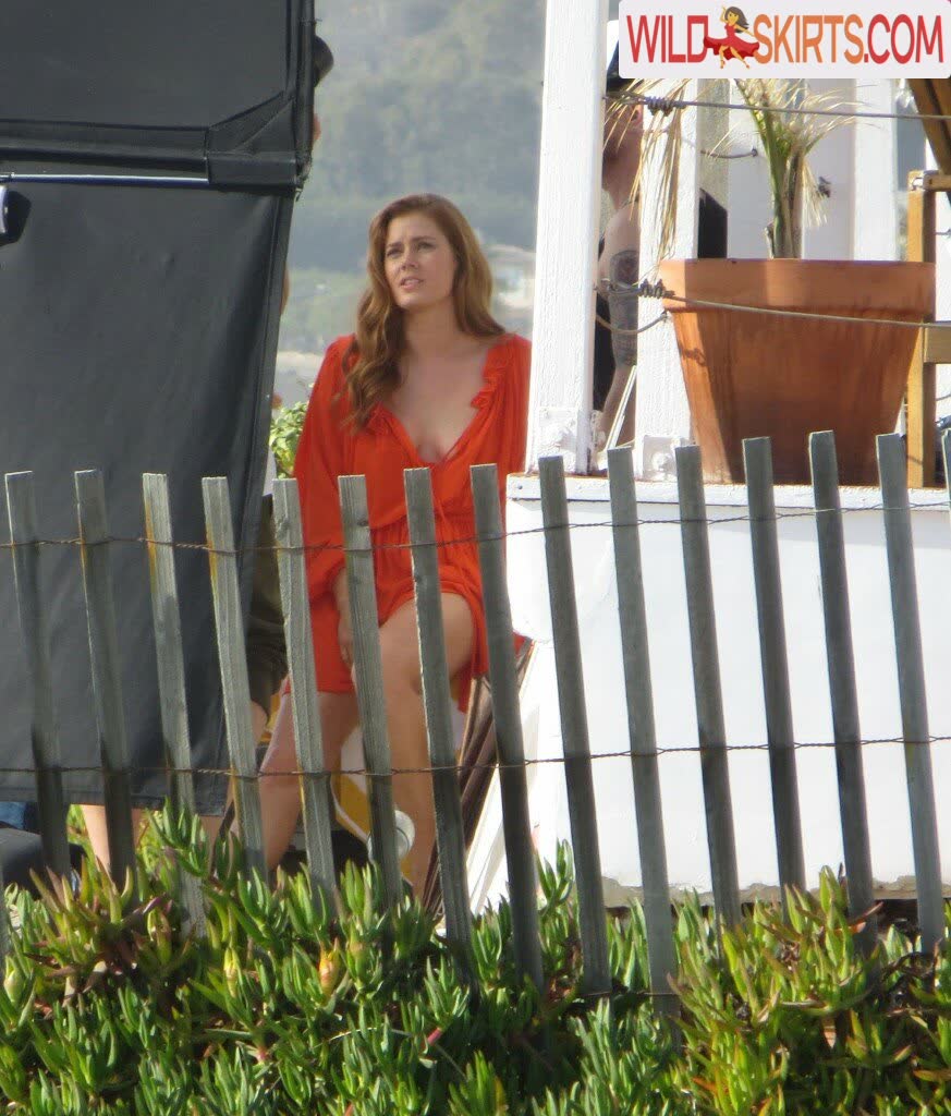 Amy Adams nude leaked photo #35