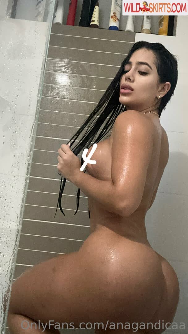 Ana Gandica / anagandicaa nude OnlyFans, Instagram leaked photo #5