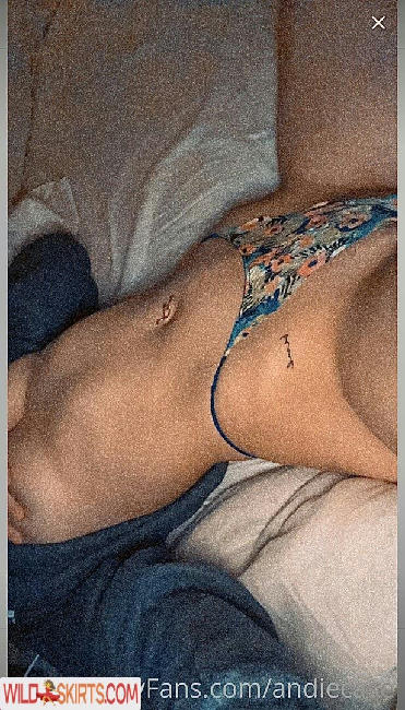 Andie Case / andiecase nude OnlyFans, Instagram leaked photo #378