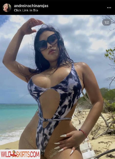 andreinachinarojas / andreinachinarojas / chinarjs nude OnlyFans, Instagram leaked photo #3