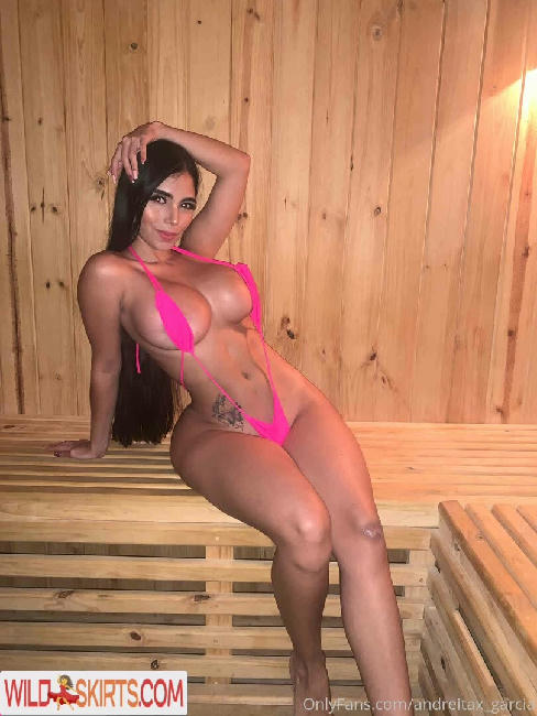 Andreitax Garcia / andreitax_garcia / andreitaxgar nude OnlyFans, Instagram leaked photo #17