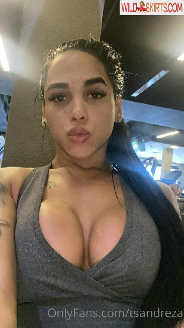 Andreza Guimaraes / andreza_guimaraesof / tsandreza / tsandrezaa nude OnlyFans, Instagram leaked photo #2