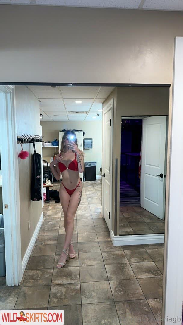 ariagb / ariagb / inspiredbyari nude OnlyFans, Instagram leaked photo #82