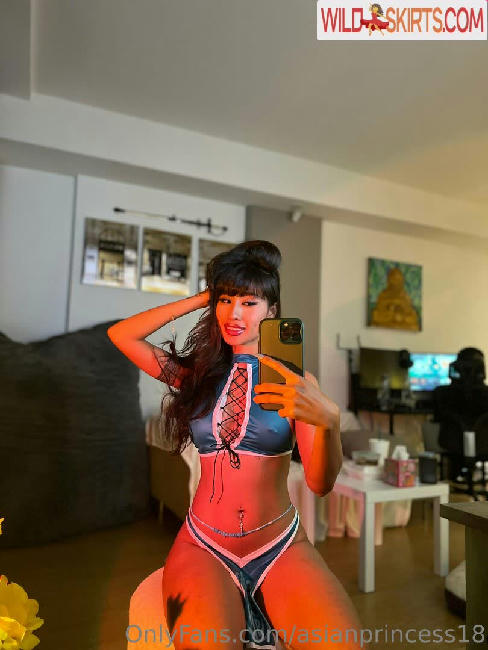 asianprincess18 / asianprincess18 / asianprincess97 nude OnlyFans, Instagram leaked photo #57