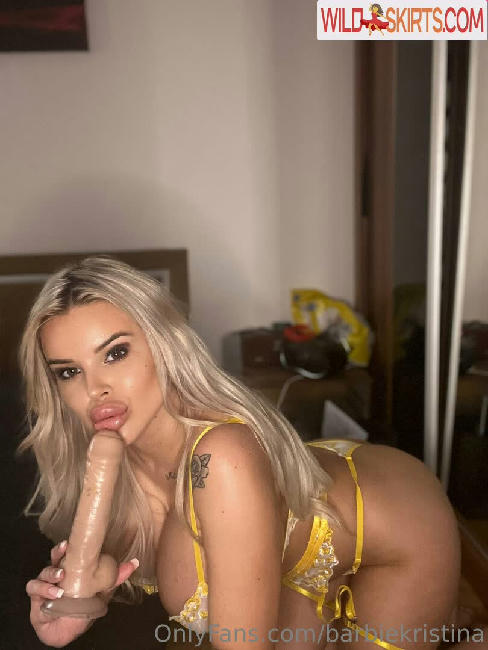 Barbiekristina / barbiekristina / barbiekristina_ nude OnlyFans, Instagram leaked photo #240