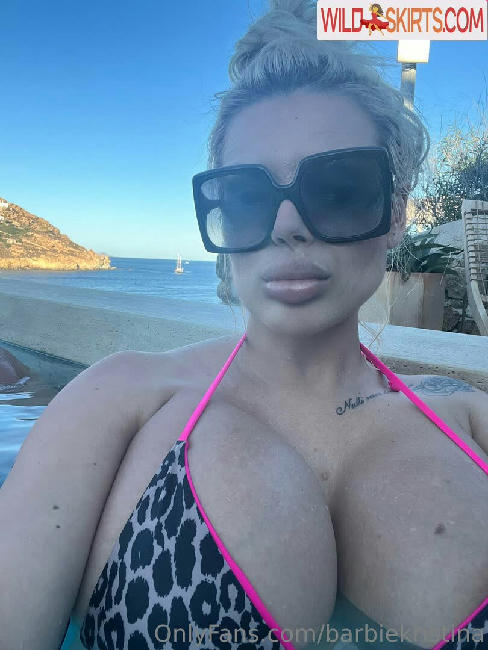 Barbiekristina / barbiekristina / barbiekristina_ nude OnlyFans, Instagram leaked photo #252