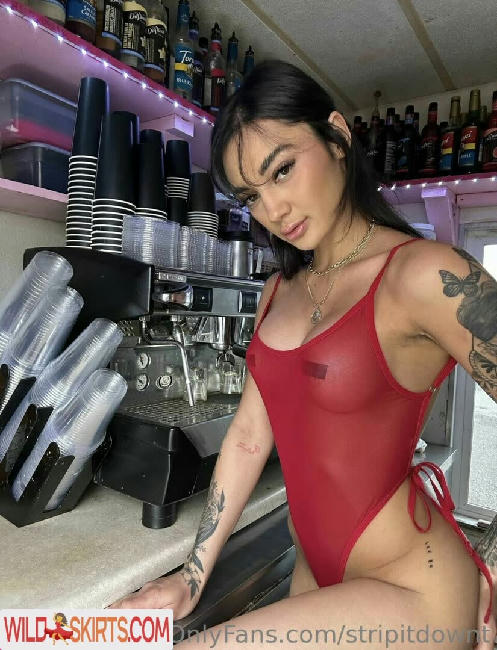 Baristatbaby / stripitdownt nude OnlyFans leaked photo #35