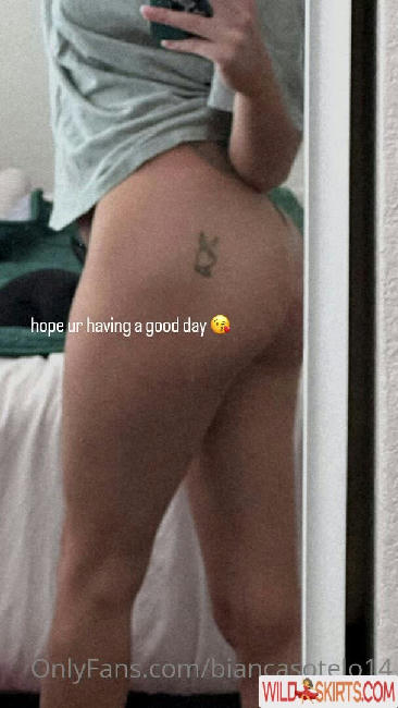 Bianca Sotelo / biancasotelo14 nude OnlyFans, Snapchat, Instagram leaked photo #105