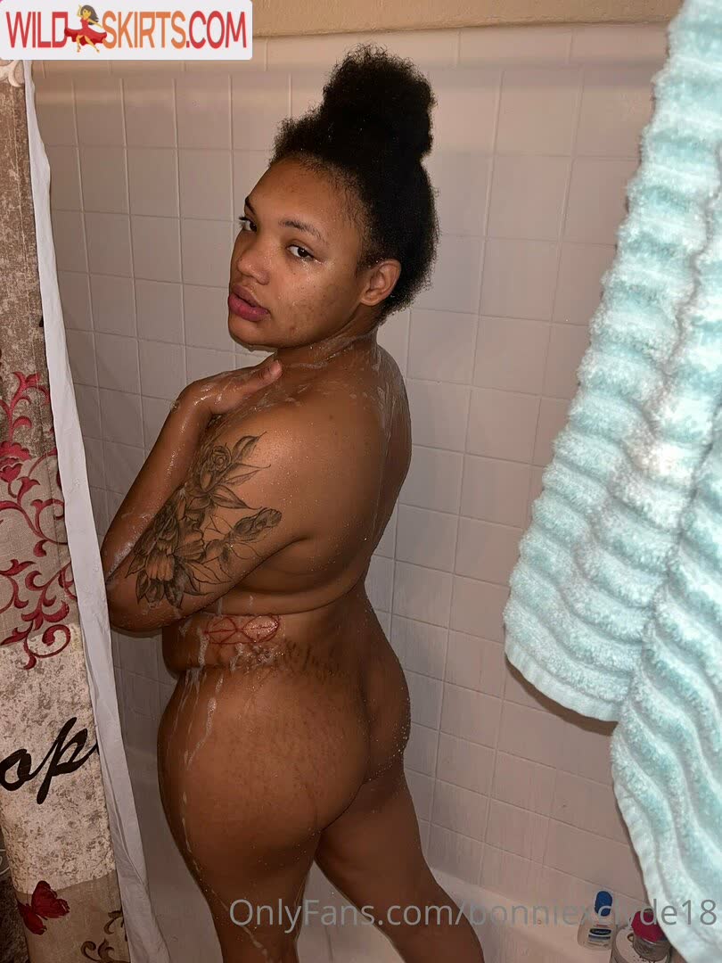 Bonniexclyde18 nude leaked photo #53