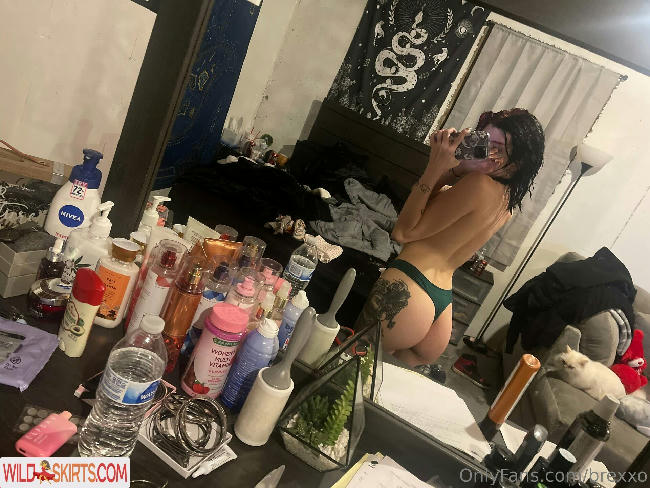 brexxo / _brexxo / brexxo nude OnlyFans, Instagram leaked photo #85