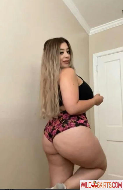 Brianna Hernandez /  / Bby.bri14 / babybri713 nude OnlyFans, Instagram leaked photo #11