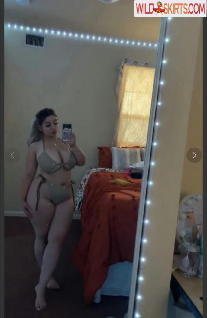 Brianna Hernandez /  / Bby.bri14 / babybri713 nude OnlyFans, Instagram leaked photo #21