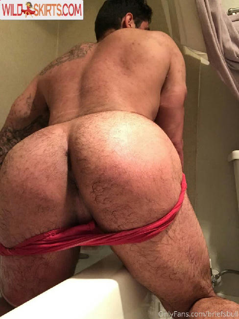 briefsbull / beefybunzz / briefsbull nude OnlyFans, Instagram leaked photo #55