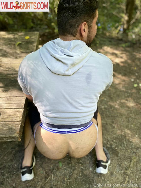 briefsbull / beefybunzz / briefsbull nude OnlyFans, Instagram leaked photo #46