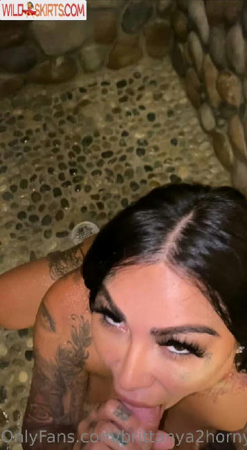 brittanya2horny nude OnlyFans leaked photo #42