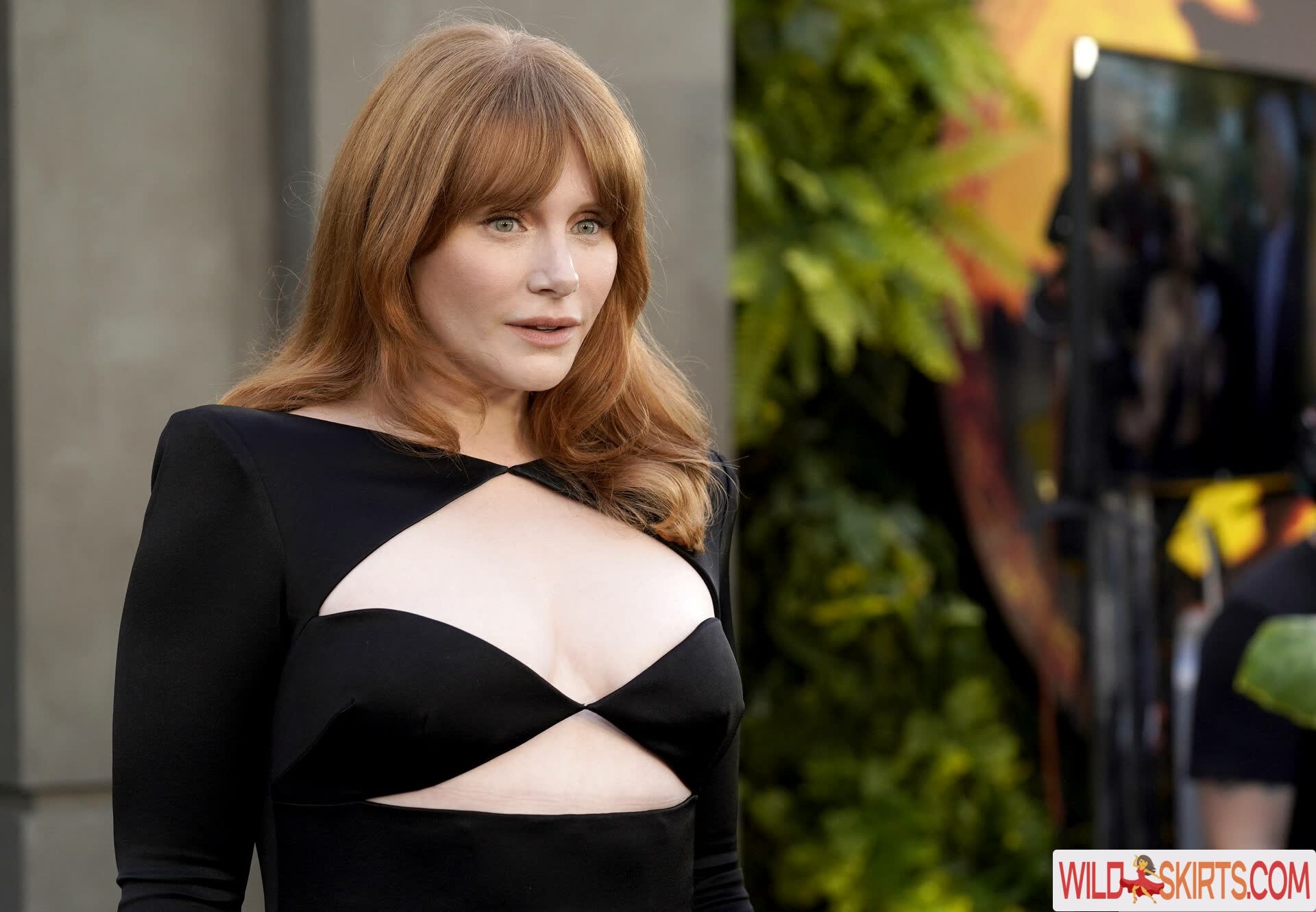 Bryce Dallas Howard nude leaked photo #64