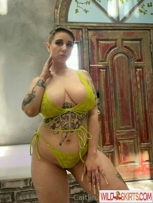 caitlinzielinskifree / caitlinzielinski__ / caitlinzielinskifree nude OnlyFans, Instagram leaked photo #18