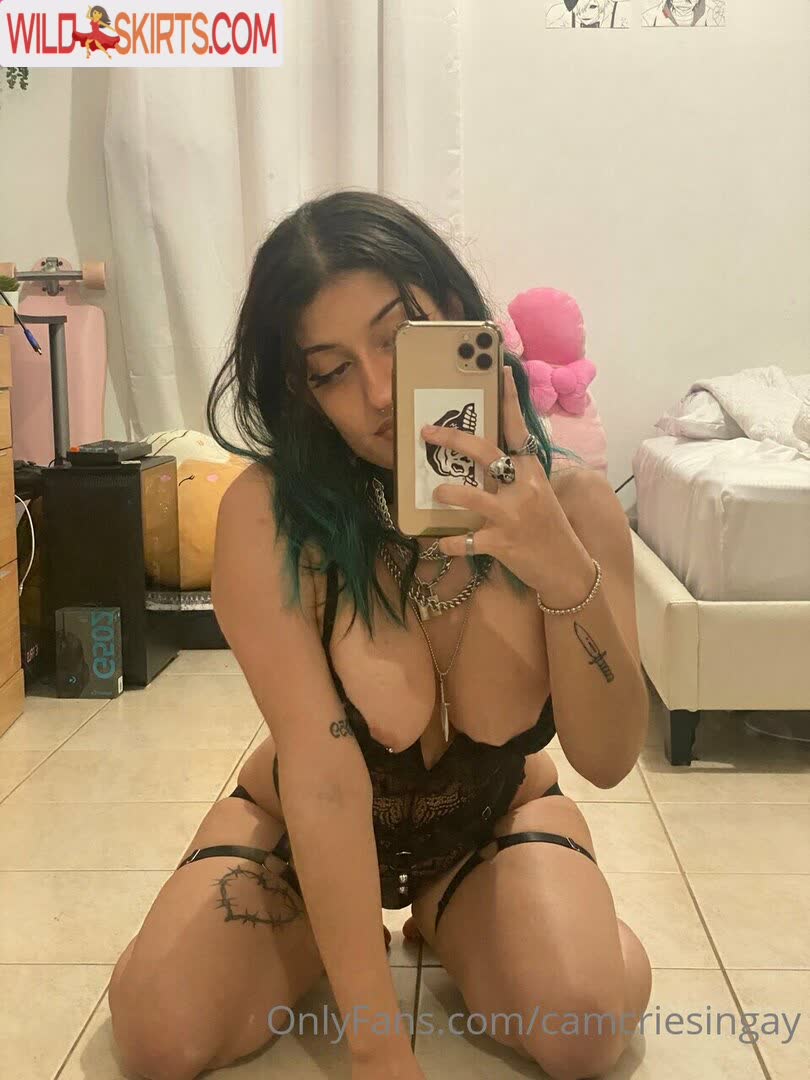 Camcriesincum / Camisjustvibing / camcriesincum nude Instagram leaked photo #1