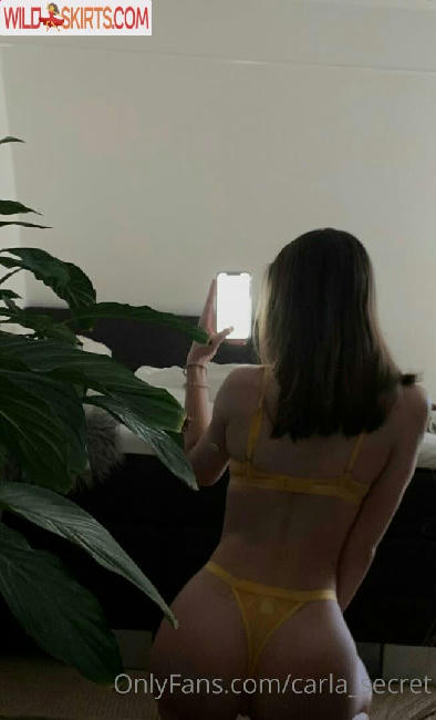 carla_secret / carla.secret / carla_secret nude OnlyFans, Instagram leaked photo #9