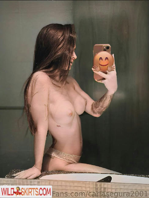 Carlasegura2001 nude leaked photo #3