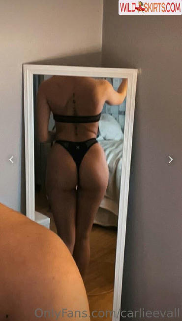 Carlie Marie / carlieeemarieee / carlieemarieee nude OnlyFans, Instagram leaked photo #155