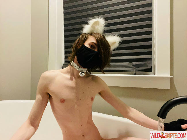 Catboiaoi / anyuser / catboiaoi nude OnlyFans, Instagram leaked photo #209