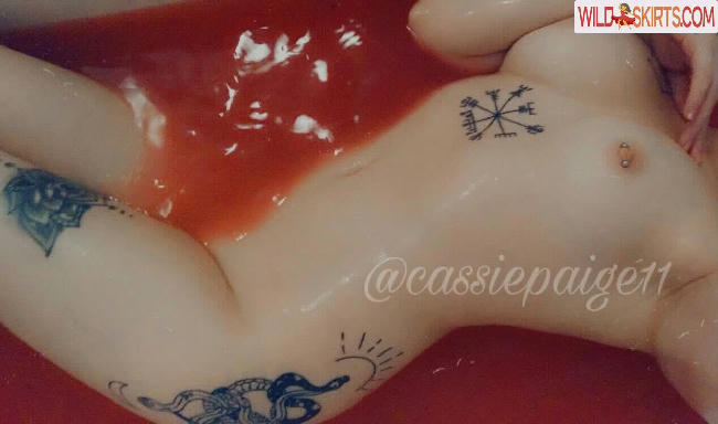 catgirlcassie / casiepage11 / cassie_paige11 / catgirlcassie / ckaeinet nude OnlyFans, Instagram leaked photo #1