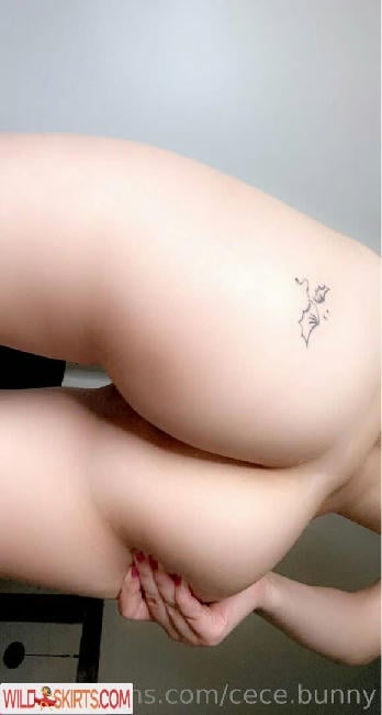 Cece Bunny / cece.bunny nude OnlyFans leaked photo #17