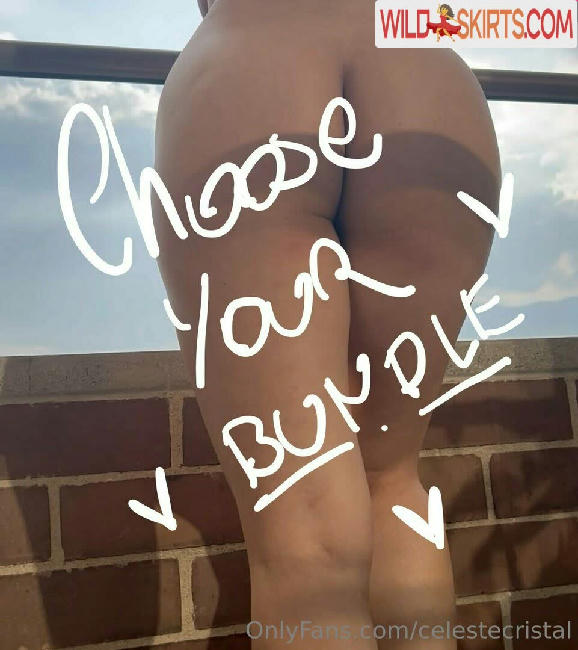 celestecristal / celescristal / celestecristal nude OnlyFans, Instagram leaked photo #52