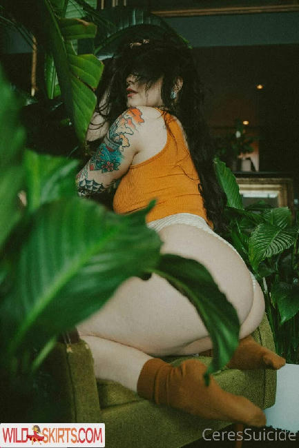 Ceressuicide / Ceres / ceres__suicide / ceressuicide nude OnlyFans, Instagram leaked photo #179