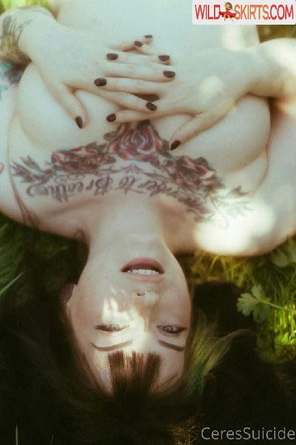 Ceressuicide / Ceres / ceres__suicide / ceressuicide nude OnlyFans, Instagram leaked photo #260