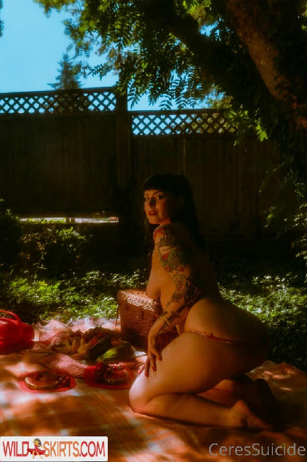 Ceressuicide / Ceres / ceres__suicide / ceressuicide nude OnlyFans, Instagram leaked photo #204