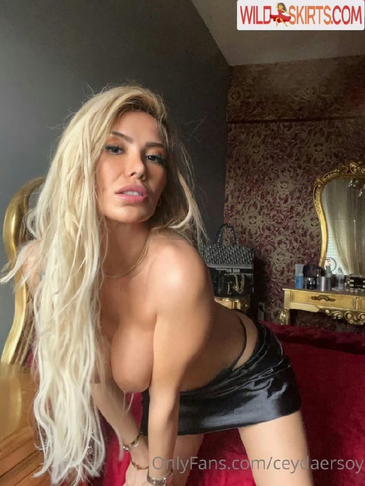 Ceyda Ersoy / ceydaersoy / ceydaersoyy nude OnlyFans, Instagram leaked photo #19