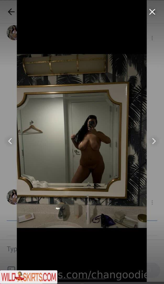 Changoodie / changoodie nude OnlyFans, Instagram leaked photo #22