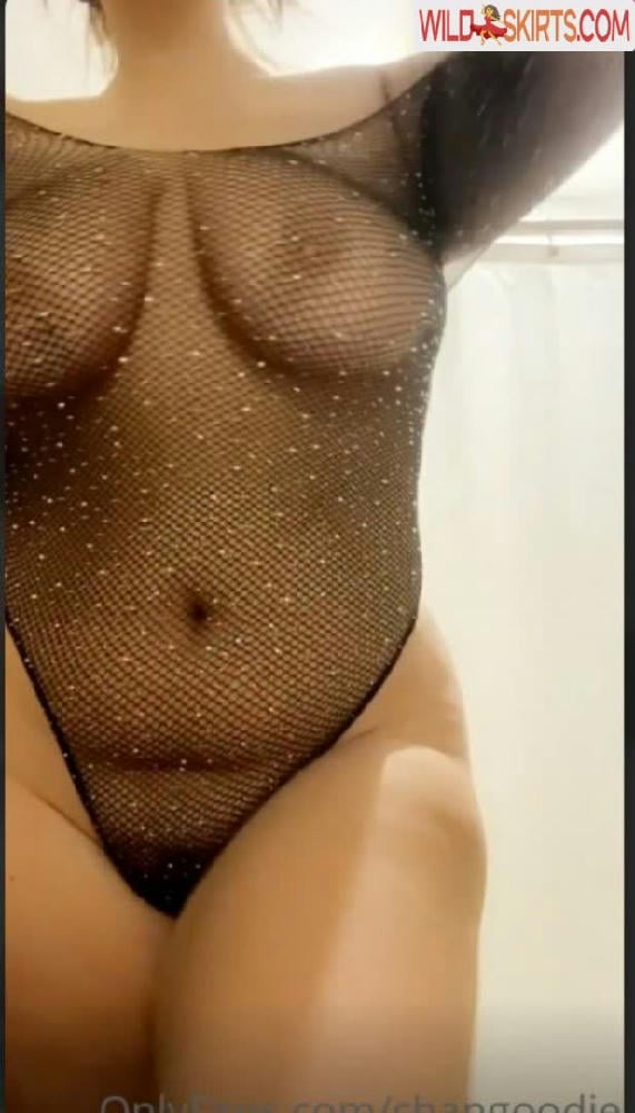 Changoodie / changoodie nude OnlyFans, Instagram leaked photo #24