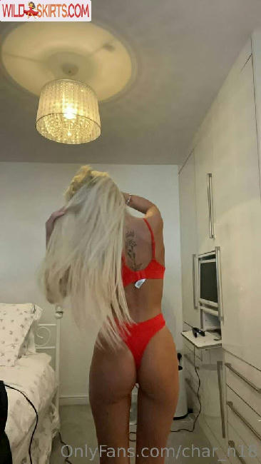 char_n18 / char_n18 / charn18 nude OnlyFans, Instagram leaked photo #47