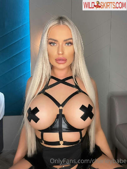 charleybabe nude OnlyFans, Instagram leaked photo #98