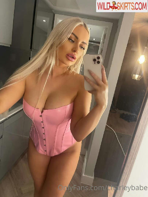 charleybabe nude OnlyFans, Instagram leaked photo #100