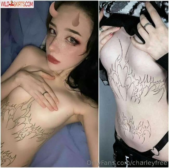 charleyfree / charleyfree / itscharliefree nude OnlyFans, Instagram leaked photo #15